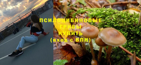спайс Алексин
